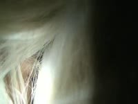 Horny gay fucking a horse ass in animal anal sex